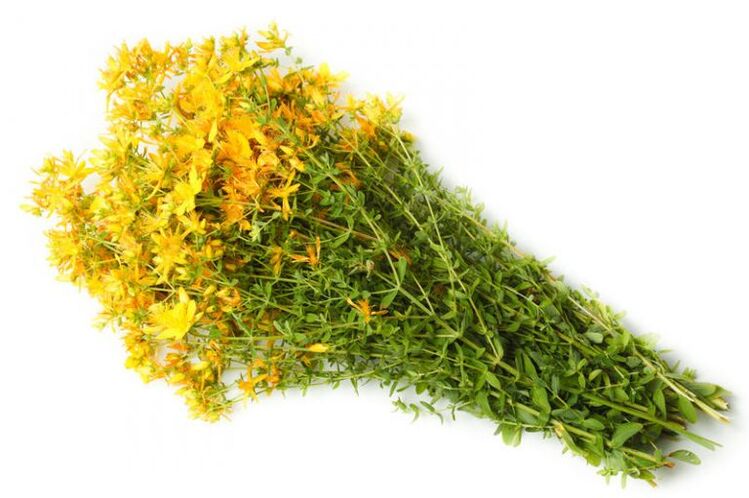 The must of Saint-Jean is used in the treatment of osteoarthritis